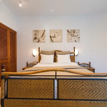 فيلة Anfi Tauro *